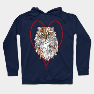 Ragamuffin Cat Hoodie